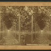 Agricultural Grounds, Washington, D.C.
