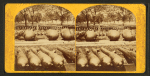 View of cannons and mortars.