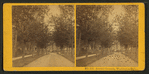 Arsenal Grounds, Washington, D.C..