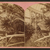 Interior of the U.S. Botanic Gardens.
