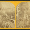 Conservatory at Washington, D.C.
