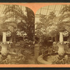 Interior of the U.S. Botanic Gardens.