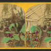 Conservatory, Botanical Gardens.
