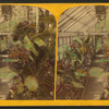 Botanical Gardens Conservatory.