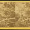 Botanical Gardens, Washington, D.C.