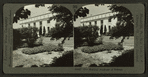 The National Academy of Science.