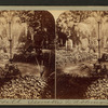 Oak Hill Cemetery, Washington.