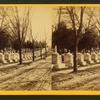 Congressional Cemetery.