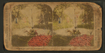 Oak Hill Cemetery, Washington, D.C.