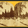Congressional Cemetery.