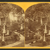 Oak Hill Cemetery, Georgetown.