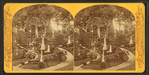Oak Hill Cemetery, Georgetown.