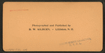 C.E. Convention, Chorus of Four Thousand Voices, East front of Capitol, Washington, D.C.