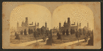 View of the Smithsonian Institute. Washington, D.C.
