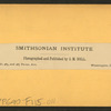 Smithsonian Institute, Washington, D.C.