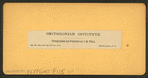 Smithsonian Institute, Washington, D.C.