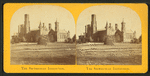 The Smithsonian Institution.