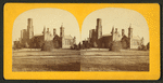 The Smithsonian Institution