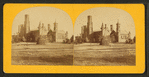 The Smithsonian Institution