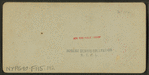 Smithsonian Institute.