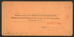 Interior views of the Smithsonian Institution, Washington, D.C..