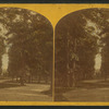 The Capitol Vista in the grounds of the Solders' Home.