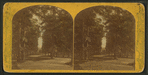 The Capitol Vista in the grounds of the Solders' Home.