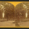 The Capitol Vista in the grounds of the Solders' Home.