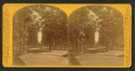The Capitol Vista in the grounds of the Solders' Home.