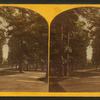 The Capitol Vista in the grounds of the Solders' Home.