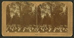 Cemetery, Soldiers Home, Washington, D.C., U.S.A..