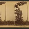 The Washington Monument, Washington, D.C., U.S.A..