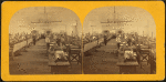 Hydrostatic Press Room, Manufacturing United States Currency.
