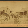 Cotton gin in full blast, Florida.