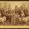 Cotton pickers, Florida.
