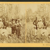 Cotton pickers, Florida.