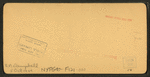 Pine apple gardens, Fla., U.S.A. Ananas Garten.