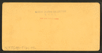Indian River oranges, Rockledge, Fla., U.S.A.