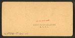 Where the luscious pineapple grows, Florida, U.S.A. [Color view.]