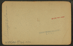 Pineapple and bananas. [View of field.]
