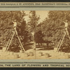 Gathering oranges at Dr. Anderson's grove.