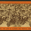 Orange tree, loaded with fruit, flowers, and buds.