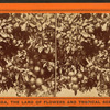 Orange tree, loaded with fruit, flowers, and buds.