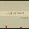Orange tree, loaded with fruit, flowers, and buds.