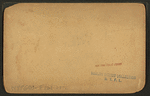 Cocunut Ave. [View of coconut tree-lined route.]