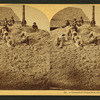 A pyramid of cotton seed, Florida.