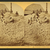 A pyramid of cotton seed, Florida.