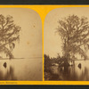 View on Lake Monroe, Enterprise, Florida.