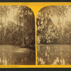 White Sulphur Springs, Old Enterprise, Florida.