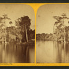 View from Wharf, Enterprise, Florida.
